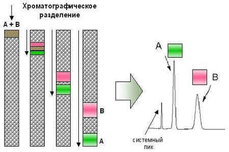 Хроматография