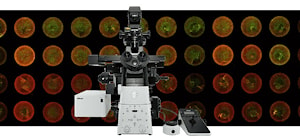 Инвертированные микроскопы Nikon Eclipse Ti2 - это основа для Ваших научных исследований!